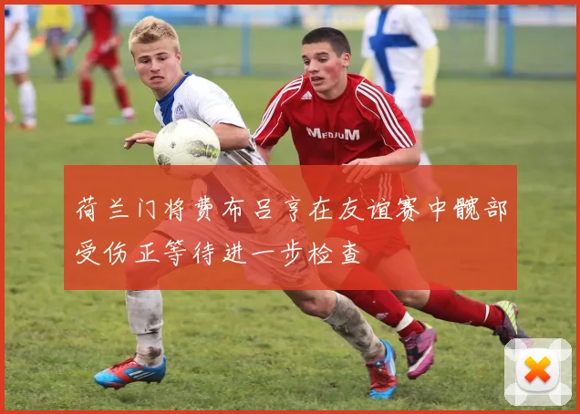 荷兰门将费布吕亨在友谊赛中髋部受伤正等待进一步检查