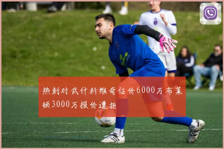 热刺对武什科维奇估价6000万布莱顿3000万报价遭拒
